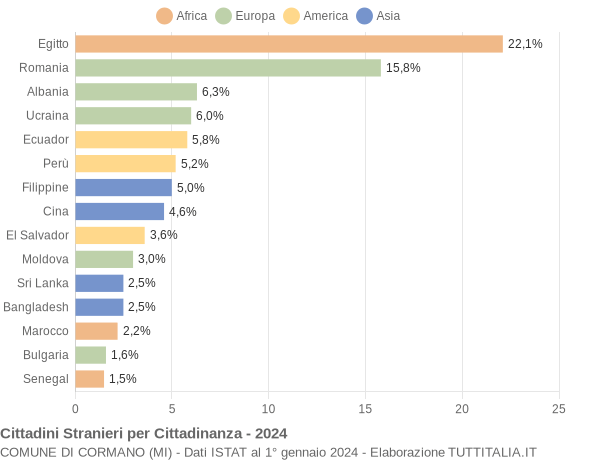 Grafico cittadinanza stranieri - Cormano 2024