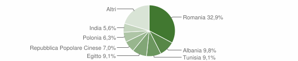 Grafico cittadinanza stranieri - Corte Palasio 2011