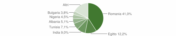 Grafico cittadinanza stranieri - Corte Palasio 2015