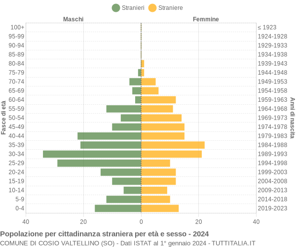 Grafico cittadini stranieri - Cosio Valtellino 2024