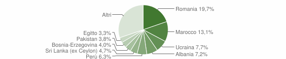 Grafico cittadinanza stranieri - Nerviano 2013