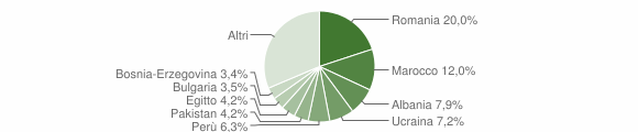Grafico cittadinanza stranieri - Nerviano 2015