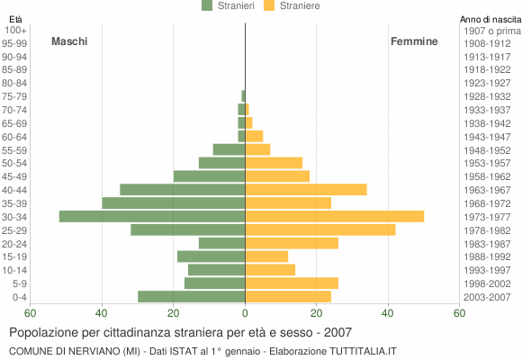 Grafico cittadini stranieri - Nerviano 2007