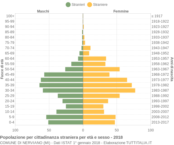 Grafico cittadini stranieri - Nerviano 2018