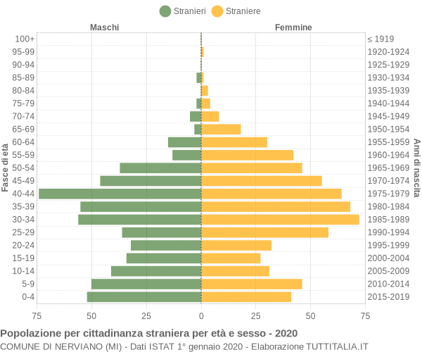 Grafico cittadini stranieri - Nerviano 2020