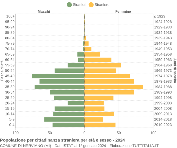 Grafico cittadini stranieri - Nerviano 2024