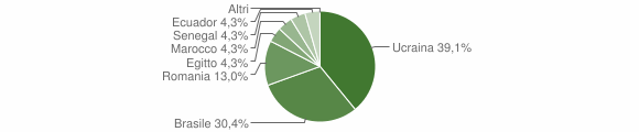 Grafico cittadinanza stranieri - Taleggio 2008
