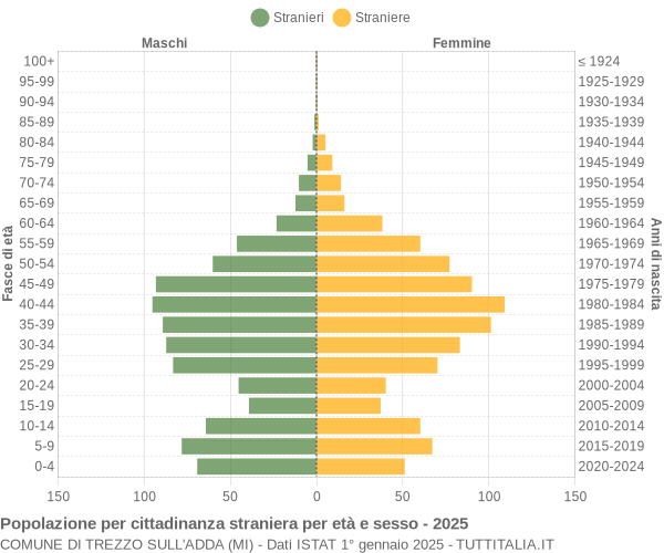 Grafico cittadini stranieri - Trezzo sull'Adda 2025