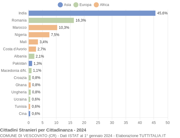 Grafico cittadinanza stranieri - Vescovato 2024