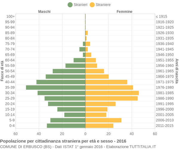 Grafico cittadini stranieri - Erbusco 2016