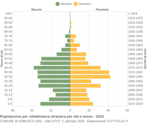 Grafico cittadini stranieri - Erbusco 2019