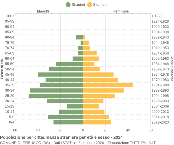 Grafico cittadini stranieri - Erbusco 2024