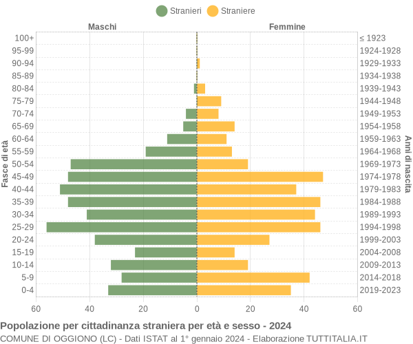 Grafico cittadini stranieri - Oggiono 2024