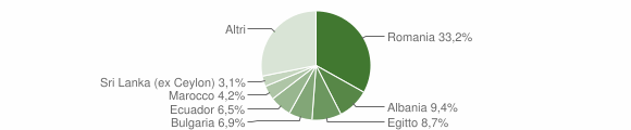 Grafico cittadinanza stranieri - Vidigulfo 2009