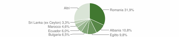 Grafico cittadinanza stranieri - Vidigulfo 2011