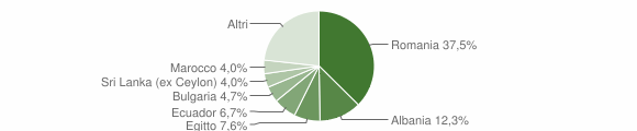 Grafico cittadinanza stranieri - Vidigulfo 2012