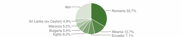 Grafico cittadinanza stranieri - Vidigulfo 2013
