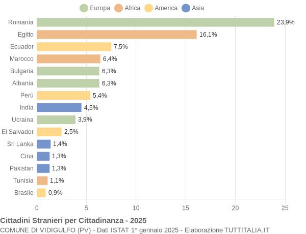 Grafico cittadinanza stranieri - Vidigulfo 2025