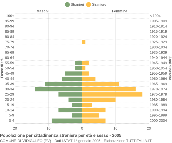 Grafico cittadini stranieri - Vidigulfo 2005