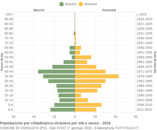 Grafico cittadini stranieri - Vidigulfo 2016