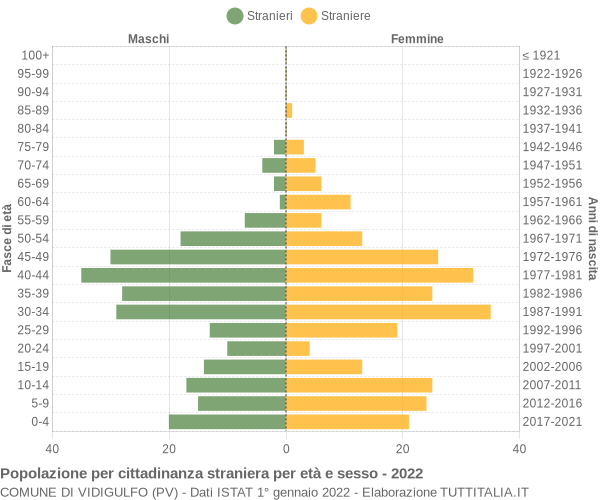 Grafico cittadini stranieri - Vidigulfo 2022