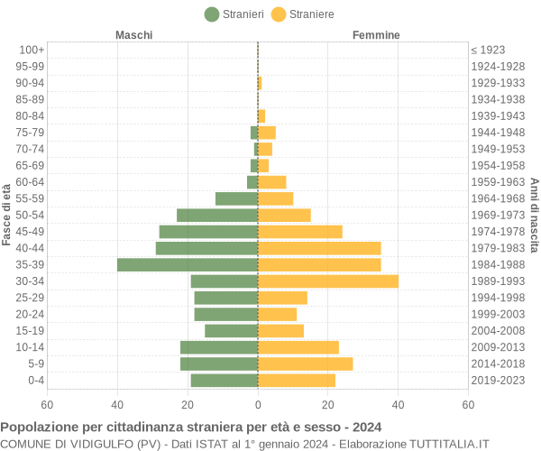 Grafico cittadini stranieri - Vidigulfo 2024