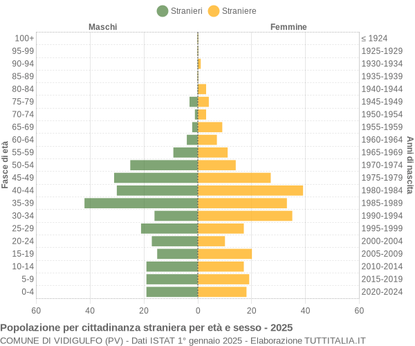 Grafico cittadini stranieri - Vidigulfo 2025