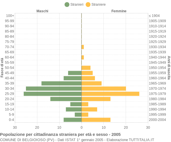 Grafico cittadini stranieri - Belgioioso 2005