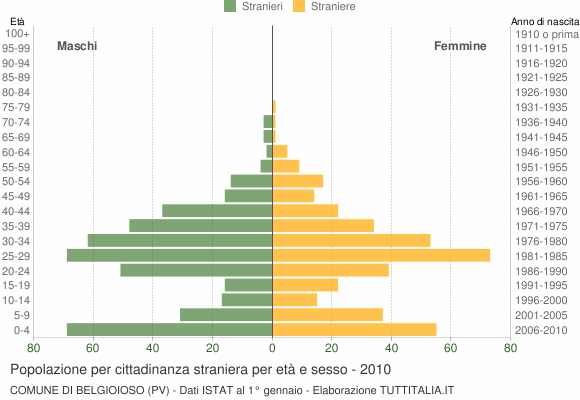Grafico cittadini stranieri - Belgioioso 2010
