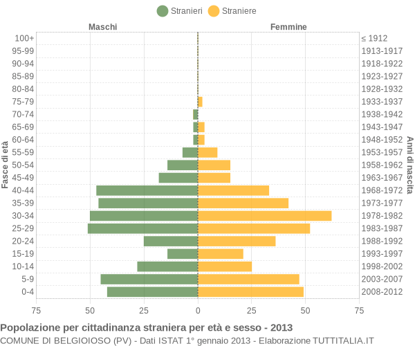 Grafico cittadini stranieri - Belgioioso 2013