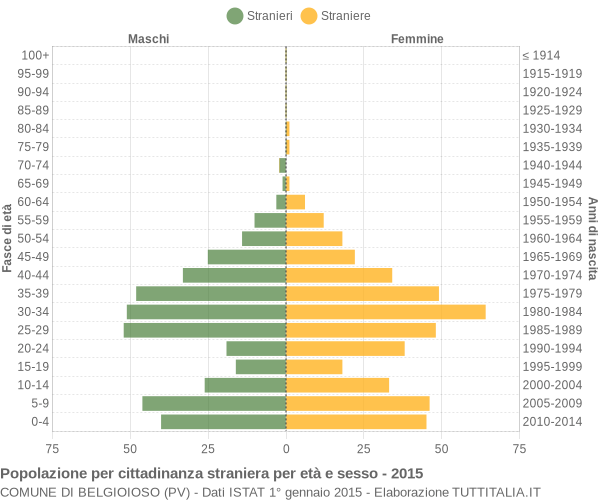 Grafico cittadini stranieri - Belgioioso 2015