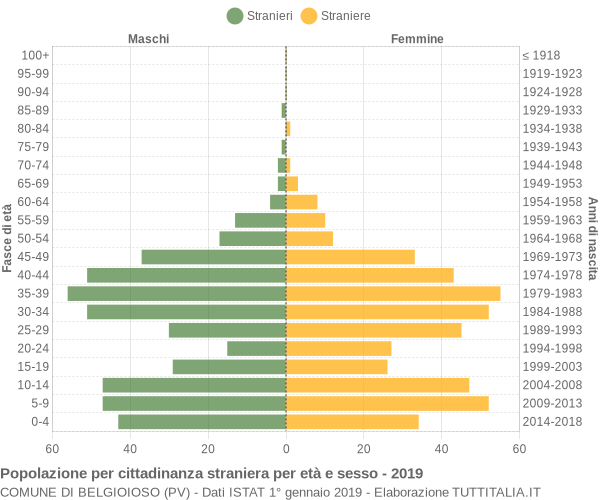 Grafico cittadini stranieri - Belgioioso 2019