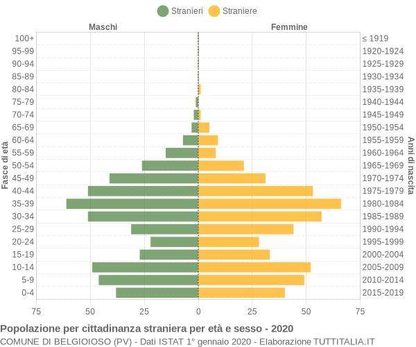 Grafico cittadini stranieri - Belgioioso 2020