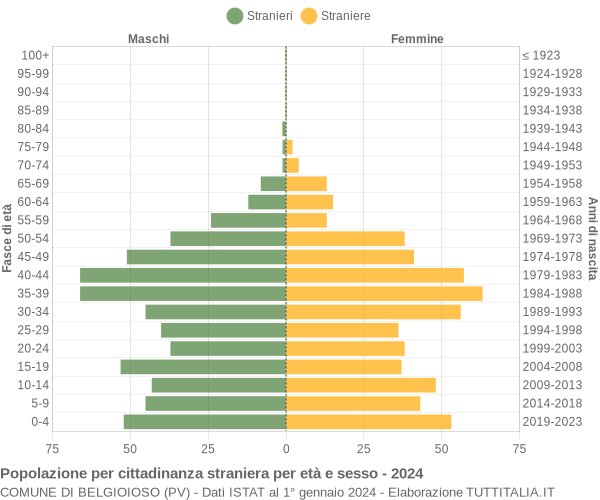 Grafico cittadini stranieri - Belgioioso 2024