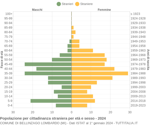 Grafico cittadini stranieri - Bellinzago Lombardo 2024