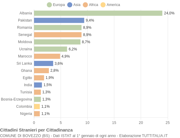 Grafico cittadinanza stranieri - Bovezzo 2009