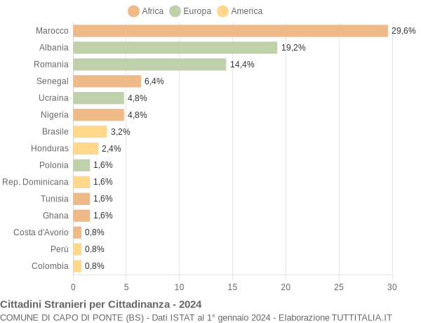 Grafico cittadinanza stranieri - Capo di Ponte 2024