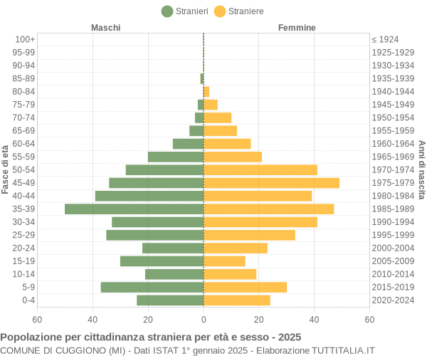 Grafico cittadini stranieri - Cuggiono 2025