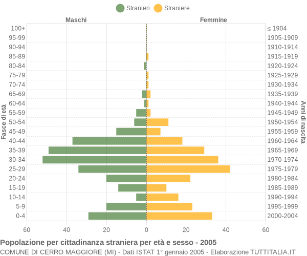 Grafico cittadini stranieri - Cerro Maggiore 2005