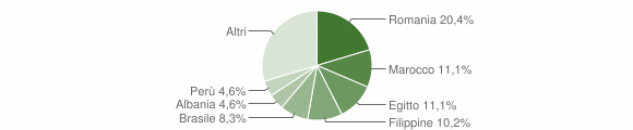 Grafico cittadinanza stranieri - Colturano 2010