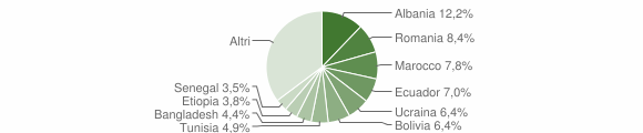 Grafico cittadinanza stranieri - Treviolo 2008