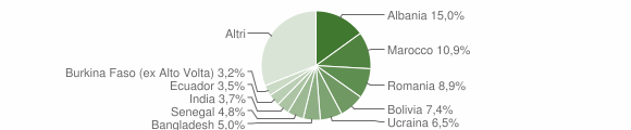 Grafico cittadinanza stranieri - Treviolo 2011