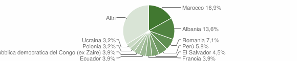 Grafico cittadinanza stranieri - Basiano 2007