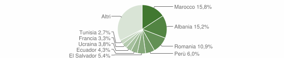Grafico cittadinanza stranieri - Basiano 2008