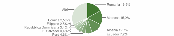 Grafico cittadinanza stranieri - Basiano 2010