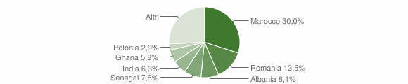 Grafico cittadinanza stranieri - Chignolo d'Isola 2009