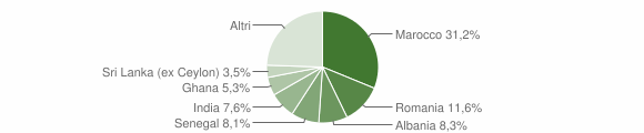 Grafico cittadinanza stranieri - Chignolo d'Isola 2010