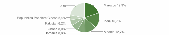Grafico cittadinanza stranieri - Ghedi 2009