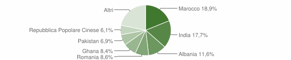 Grafico cittadinanza stranieri - Ghedi 2011