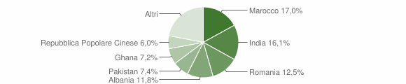 Grafico cittadinanza stranieri - Ghedi 2016
